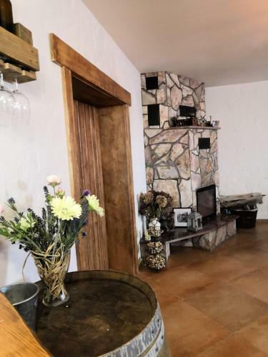 Hostal Penzion A Vinn� Skl�pek U Kozl�k?