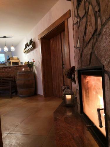 Hostal Penzion A Vinn� Skl�pek U Kozl�k?