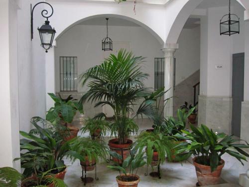 Apartamento En Centro Hist�rico Con Parking Gratis