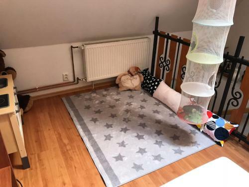 Apartm�ny Doln� Moravice