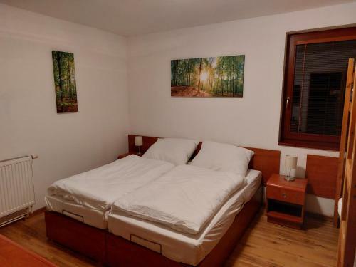 Apartamento Chata Salma Jesen�ky