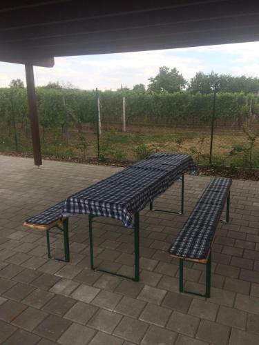 Apartm�n Maty�?