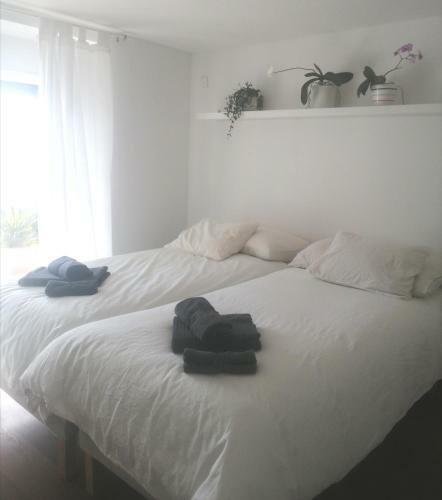 Hostal Bell Orizzonte