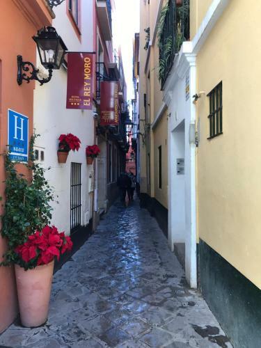 Apartamentos Flamenco B&B