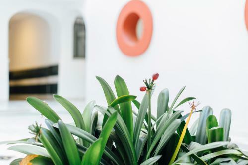 Apartamento One And Lux- Lagar