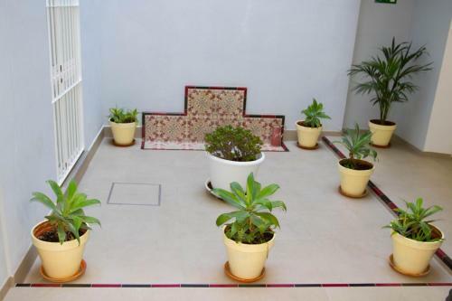 Apartamento �tico Piscina Centro Ciudad