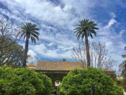 Apartamento Do�a Mar�a Coronel Sevilla