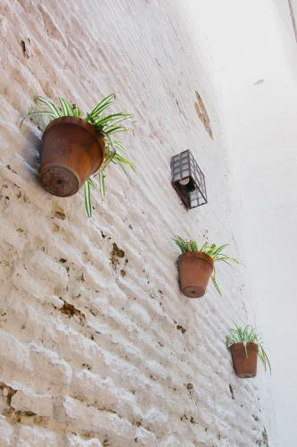 Apartamento La Accesoria Del Arenal