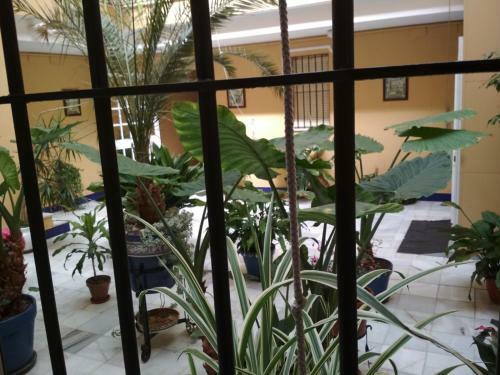 Apartamento Two Bedrooms Leonor D�valos