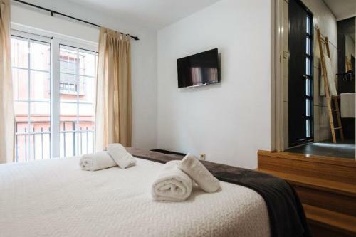Apartamento Dreamsapt Sagasta