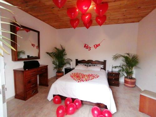 Albergue Hilltop Palomino