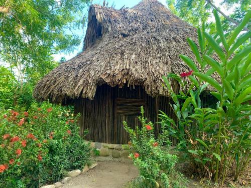 Clandestino Hostel & Coffeebar