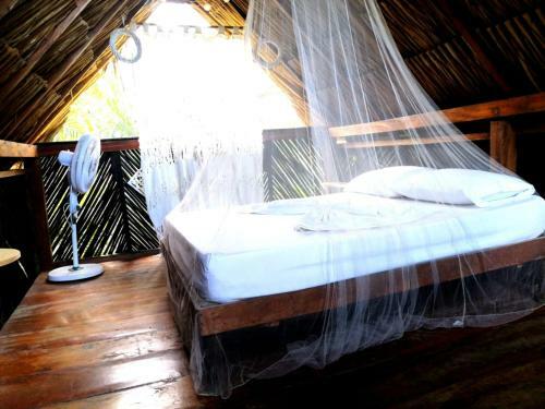 Bed & Breakfast Bonita Hostel