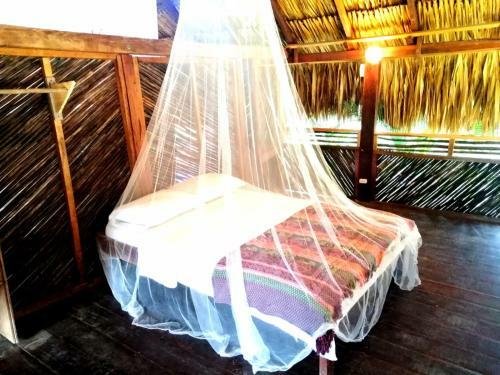 Bed & Breakfast Bonita Hostel