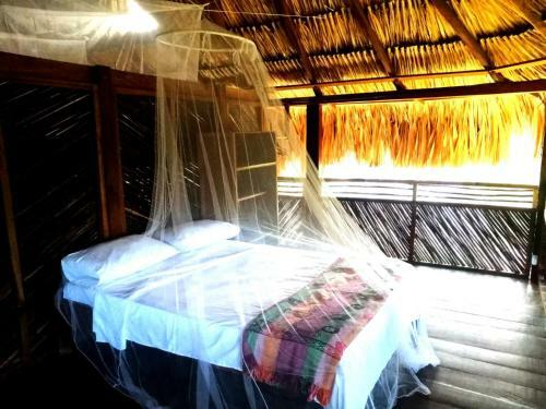 Bed & Breakfast Bonita Hostel