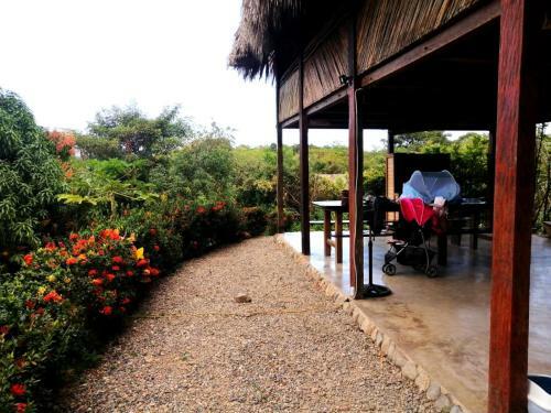 Bed & Breakfast Bonita Hostel