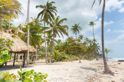 Hotel Coconuco Beach Palomino