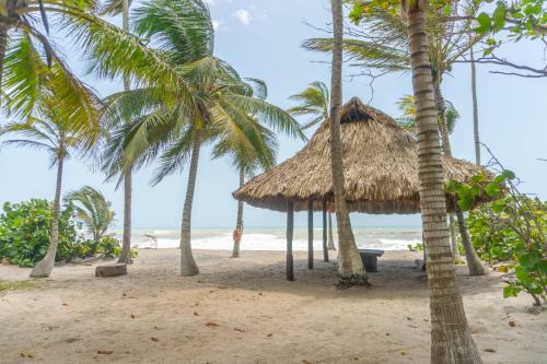 Hotel Coconuco Beach Palomino
