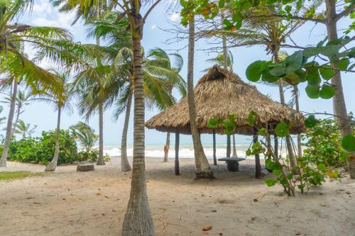 Hotel Coconuco Beach Palomino