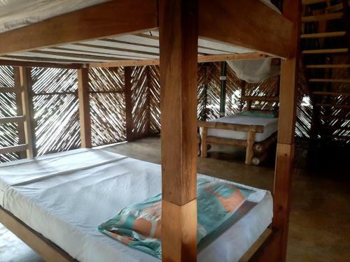 Hostal El Ocelote Ecolodges