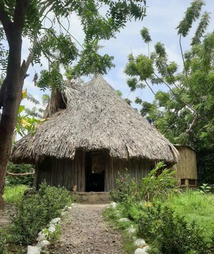 Hostal El Ocelote Ecolodges