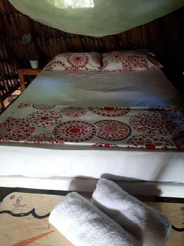 Hostal El Ocelote Ecolodges
