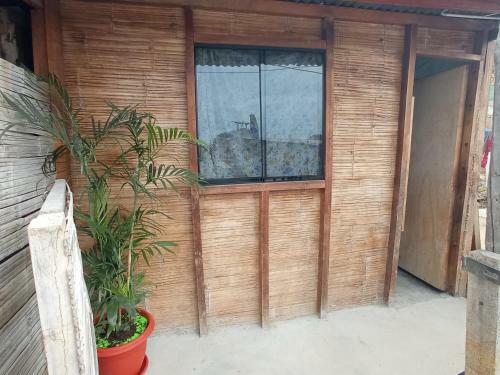 Hostal Casa Canaima Beach