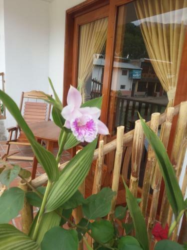 Bed & Breakfast Balcon De Gocta