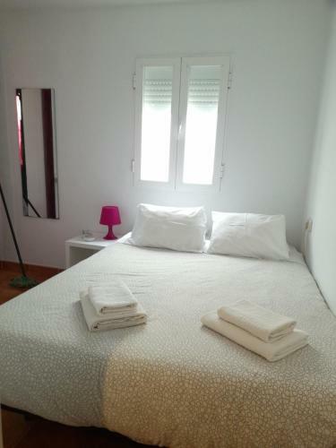 Apartamento Atico Con Terraza Privada En Centro Hist�rico