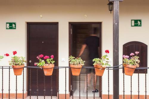 Apartamento D�plex En La Alameda De Sevilla