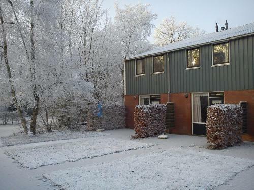 Apartamento Hondelhoeve