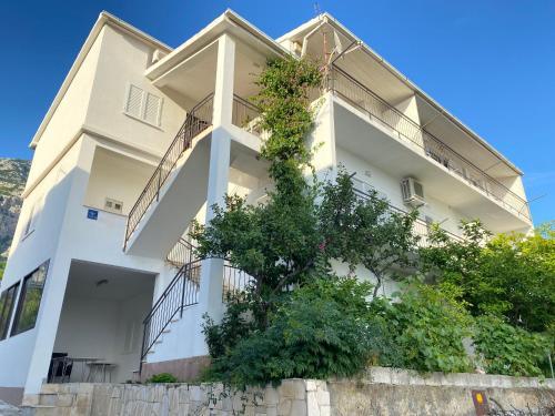 New Apartment Papillon
