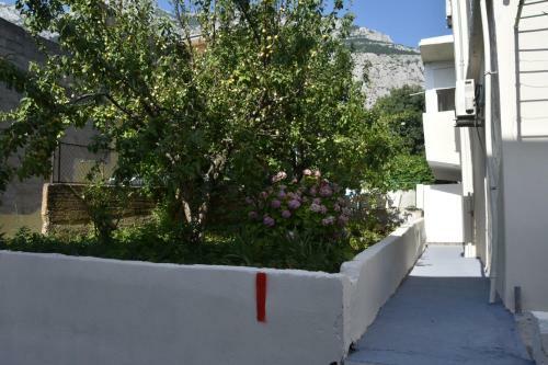 Sunny Garden Apartments Ana