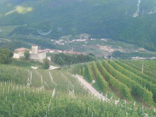 Bed & Breakfast Al Trifoglio