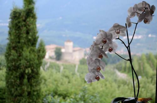 Bed & Breakfast Al Trifoglio