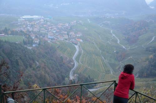 Bed & Breakfast Al Trifoglio