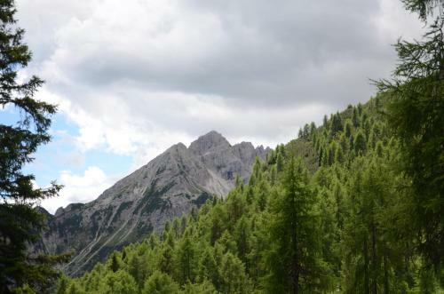 Bed & Breakfast Al Trifoglio