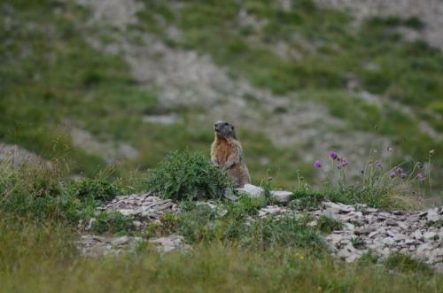 Bed & Breakfast Al Trifoglio