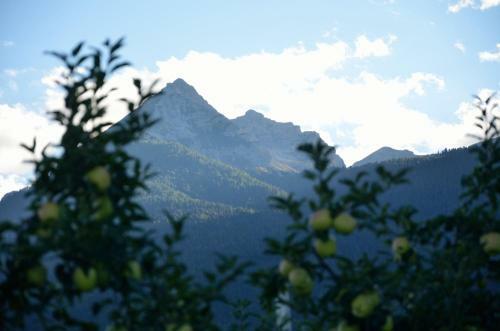 Bed & Breakfast Al Trifoglio