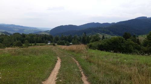 Lodge Domek Na Przylasku