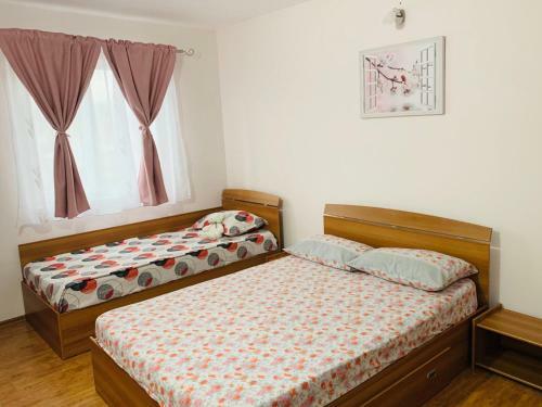 Apartament Delta Dun?rii