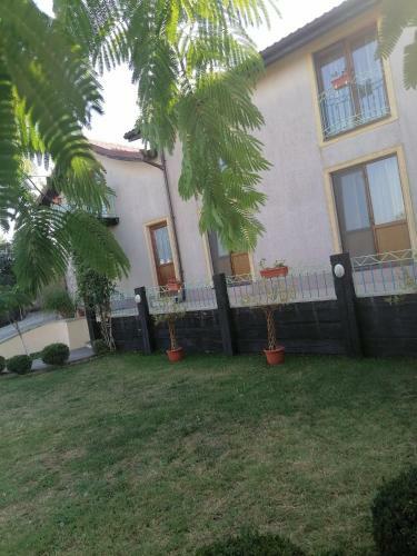 Hostal Pensiunea La Felinare Mahmudia