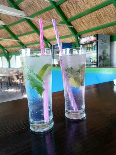 Hostal Pensiunea La Felinare Mahmudia