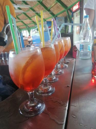 Hostal Pensiunea La Felinare Mahmudia