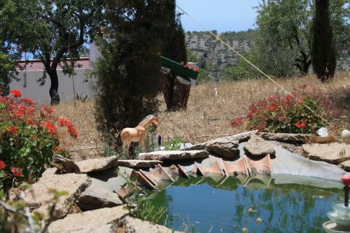 Agroturismo Los Bellidos De Alcandora