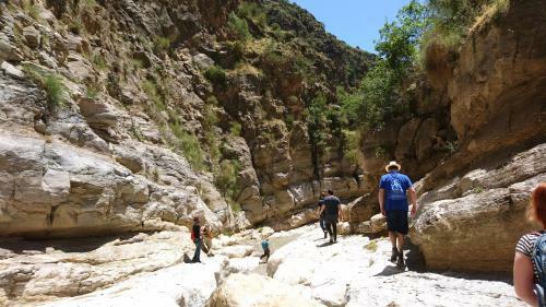 Agroturismo Los Bellidos De Alcandora
