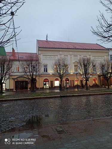 Elegant Lux Apartment In Central Square