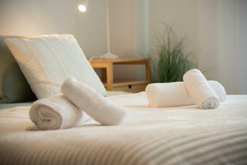 Apartament La Cabanera