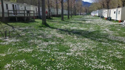 Camping Noguera Pallaresa
