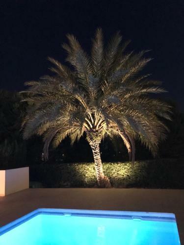 Villa Cocotero